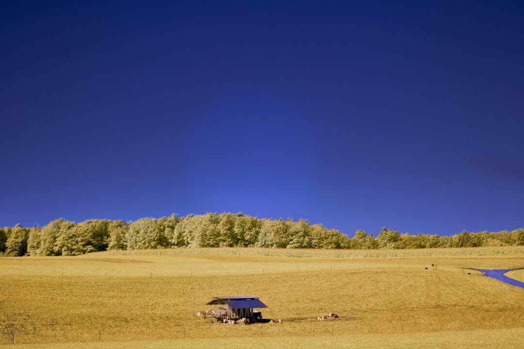 pickup truck in field